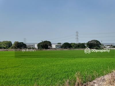 ขาย - บางกรวย กรุงเทพ, นนทบุรี