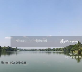 ขาย - ที่ดิน ริมแม่น้ำแม่กลอง หนองกลางนา ราชบุรี 353 ตรว กว้าง 20 เมตร, ราชบุรี