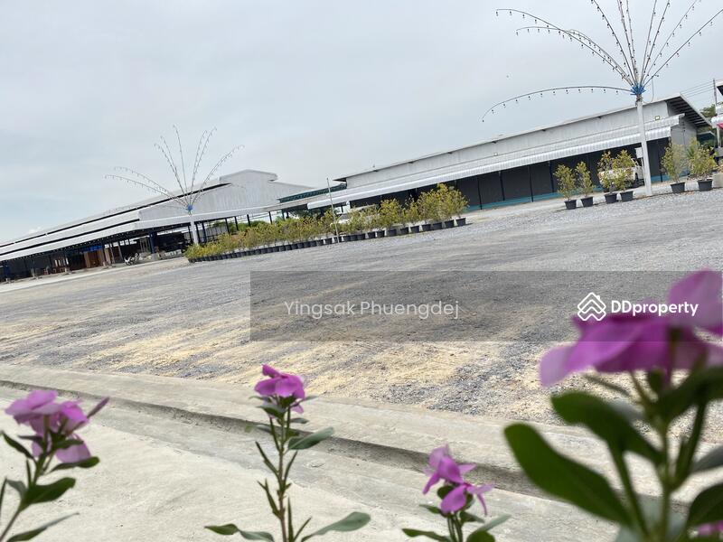 For Rent - เพชรโสภณ, Phra Nakhon Si Ayutthaya