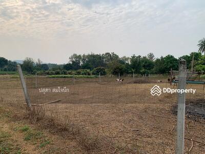 ขาย - ที่ดินกาญจนบุรี, กาญจนบุรี