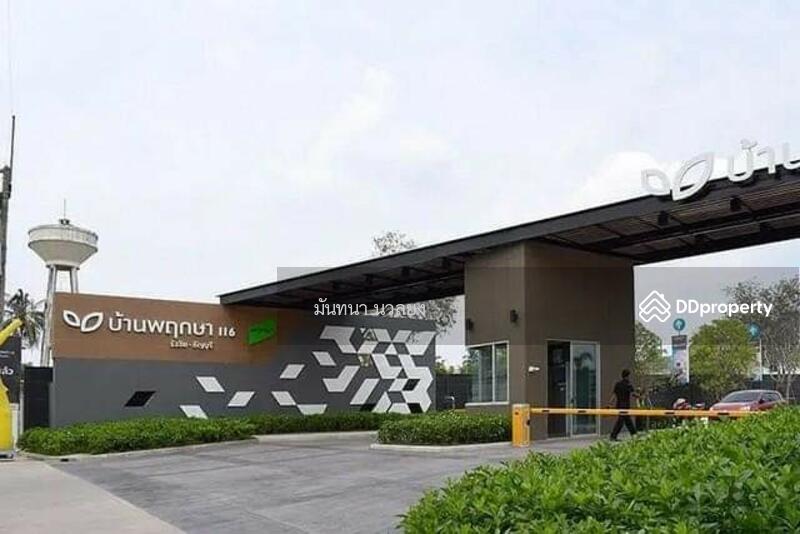 ให้เช่า - Baan Pruksa 116 Rangsit - Thanyaburi : บ้านพฤกษา 116 รังสิต - ธัญบุรี, ปทุมธานี