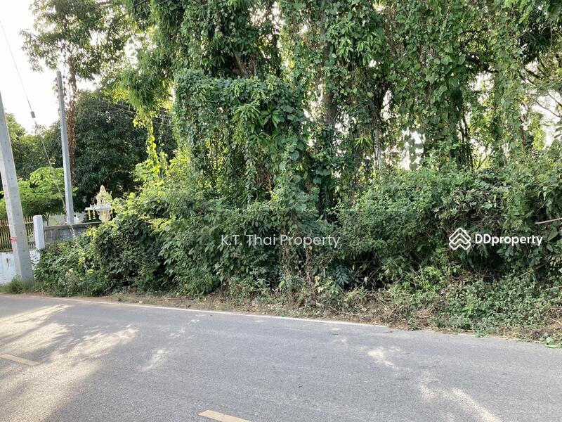 For Rent - Land for rent river frontage Kanchanaburi Kwaeyai Land for sales, Kanchanaburi