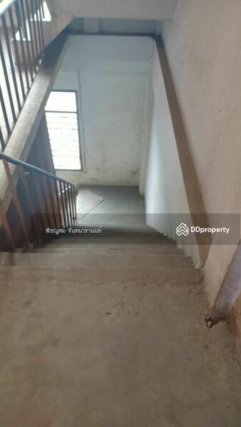 Townhouse 4 floor size 25 sq.war, Bangkok, 18 สุขุมวิท 77, Suan Luang, Bangkok, , 100 sqm, Shophouse For Rent, by พิชญุตม์ จันทนวรานนท์, 11330564 - DDproperty.com