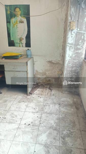 Townhouse 4 floor size 25 sq.war, Bangkok, 18 สุขุมวิท 77, Suan Luang, Bangkok, , 100 sqm, Shophouse For Rent, by พิชญุตม์ จันทนวรานนท์, 11330564 - DDproperty.com