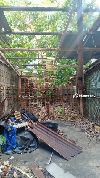 ตึกแถว 4 ชั้น ขนาด 25 ตร.ม. เดิมเป็นออฟฟิศ, กรุงเทพ, 18 สุขุมวิท 77, สวนหลวง, กรุงเทพ, 100 ตร.ม., ตึกแถว-อาคารพาณิชย์ ให้เช่า, โดย พิชญุตม์ จันทนวรานนท์, 11330564 - DDproperty.com