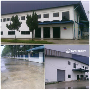 ขาย - ไทยรับเบอร์ เอชพีเอ็นอาร์, โรงงานถุงมือ, สงขลา