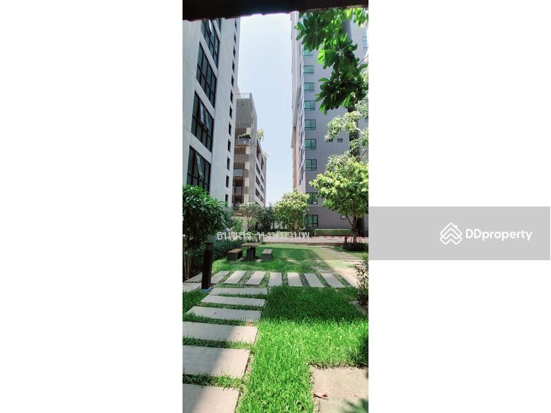 The Sky Sukhumvit, Bangkok, 103-4 Sukhumvit Road, Bang Na Nuea, Bang Na, Bangkok, 1 Bedroom, 31 sqm, Condo For Sale, by Thanatsorn Hongmanop, 11333133 - DDproperty.com