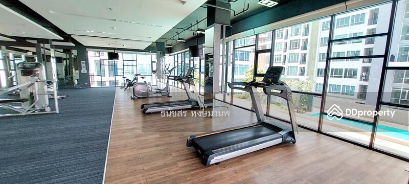 The Sky Sukhumvit, Bangkok, 103-4 Sukhumvit Road, Bang Na Nuea, Bang Na, Bangkok, 1 Bedroom, 31 sqm, Condo For Sale, by Thanatsorn Hongmanop, 11333133 - มีฟิตเนส - DDproperty.com