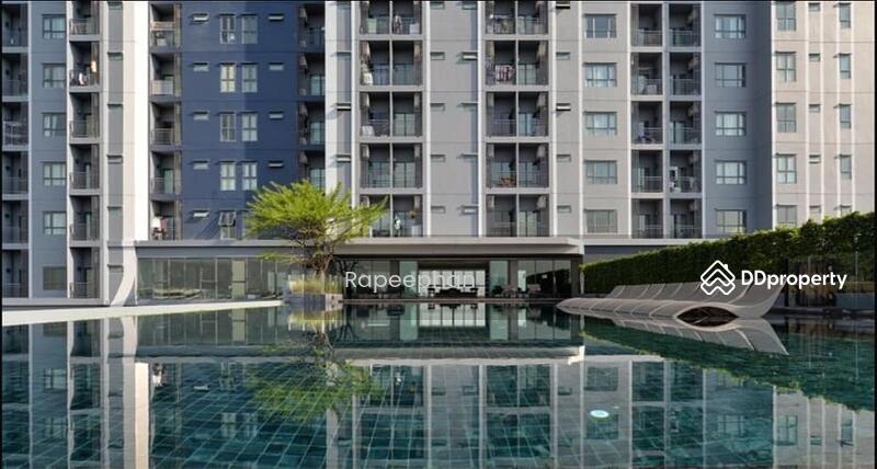 IDEO Sukhumvit 115 : ไอดีโอ สุขุมวิท 115, สมุทรปราการ, ถนนสุขุมวิท, เทพารักษ์, เมืองสมุทรปราการ, สมุทรปราการ, 35 ตร.ม., คอนโด ให้เช่า, โดย Rapeephan, 11333426 - DDproperty.com