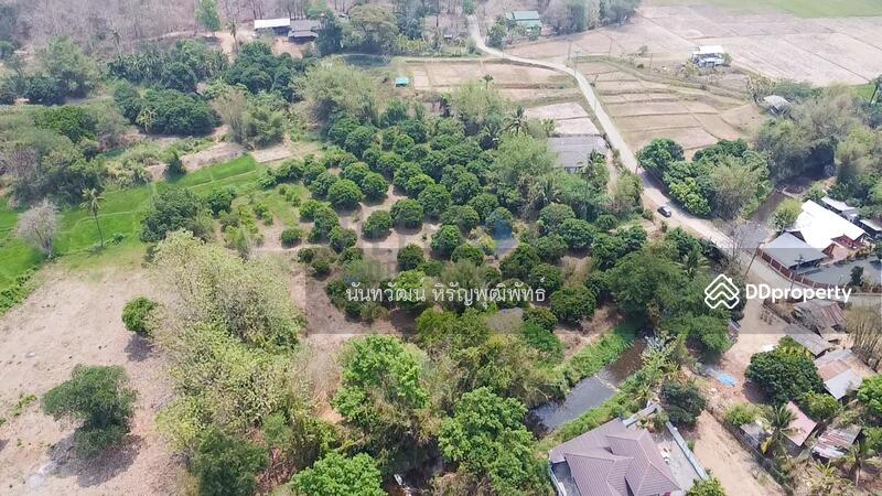 ขาย - ขายที่ดิน แม่ออน ที่ดินสวย ที่สวน 4 ไร่ ติดแม่น้ำแม่ออน บ้านออนหลวย, เชียงใหม่