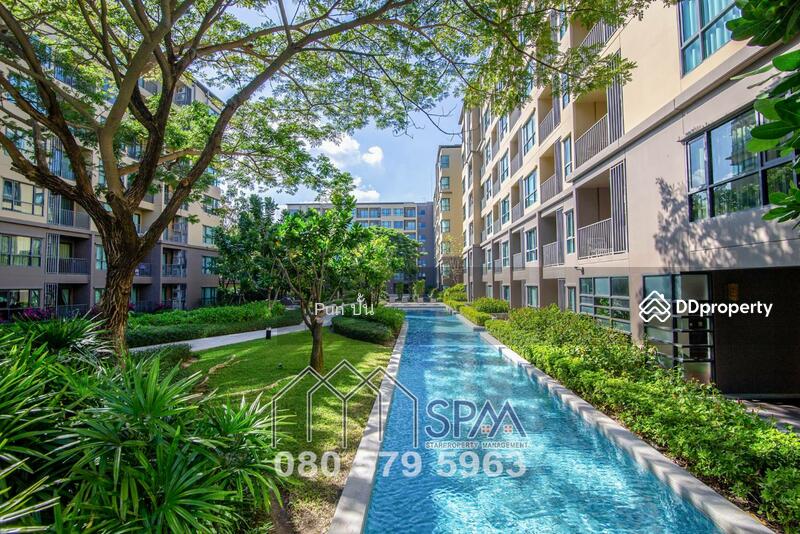 Rain Cha Am-Hua Hin : เรน ชะอำ - หัวหิน, เพชรบุรี, 429 ถนนเพชรเกษม, ชะอำ, ชะอำ, เพชรบุรี, 40 ตร.ม., คอนโด ขาย, โดย Chuanpit Tongmanee, 11333978 - DDproperty.com