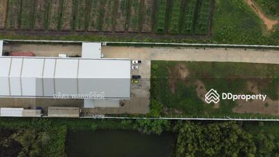 ขาย - ลาดหลุมแก้ว, ปทุมธานี