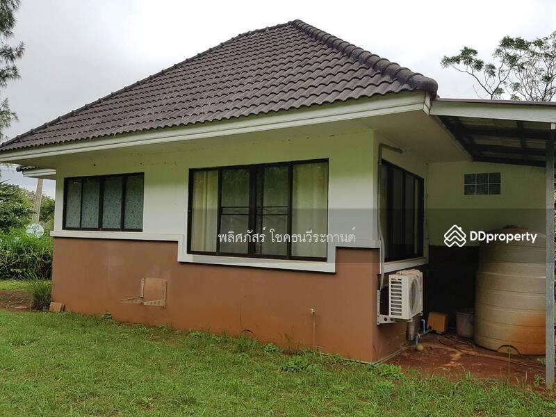 บ้านพาราไดส์ 11,000, Nakhon Ratchasima, Mu Si, Pak Chong, Nakhon Ratchasima, 2 Bedrooms, 80 sqm, Single Detached House For Rent, by พลิศภัสร์ โชคธนวีระกานต์, 11334524 - DDproperty.com