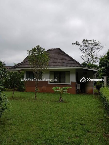 บ้านพาราไดส์ 11,000, Nakhon Ratchasima, Mu Si, Pak Chong, Nakhon Ratchasima, 2 Bedrooms, 80 sqm, Single Detached House For Rent, by พลิศภัสร์ โชคธนวีระกานต์, 11334524 - DDproperty.com