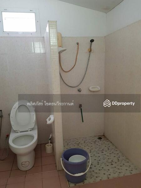 บ้านพาราไดส์ 11,000, Nakhon Ratchasima, Mu Si, Pak Chong, Nakhon Ratchasima, 2 Bedrooms, 80 sqm, Single Detached House For Rent, by พลิศภัสร์ โชคธนวีระกานต์, 11334524 - DDproperty.com