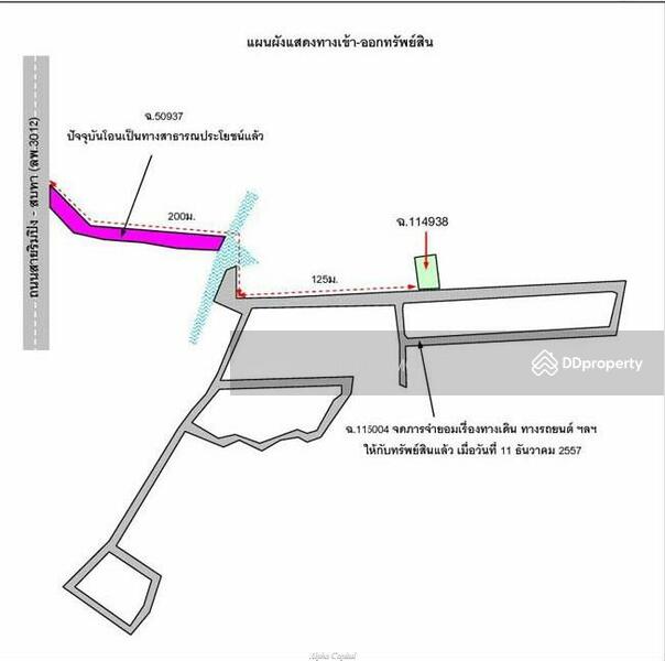 ลำพูนฟลอริช, ลำพูน, ต้นธง, เมืองลำพูน, ลำพูน, 153 ตร.ม., บ้านเดี่ยว ขาย, โดย วารุณี จำรูญนุรักษ์, 11335079 - DDproperty.com