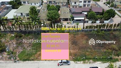 ขาย - ขาย ที่ดิน ถมแล้ว 83 ตร.วา. อ่อนนุช 65 ที่สวย เหมาะปลูกบ้าน, กรุงเทพ