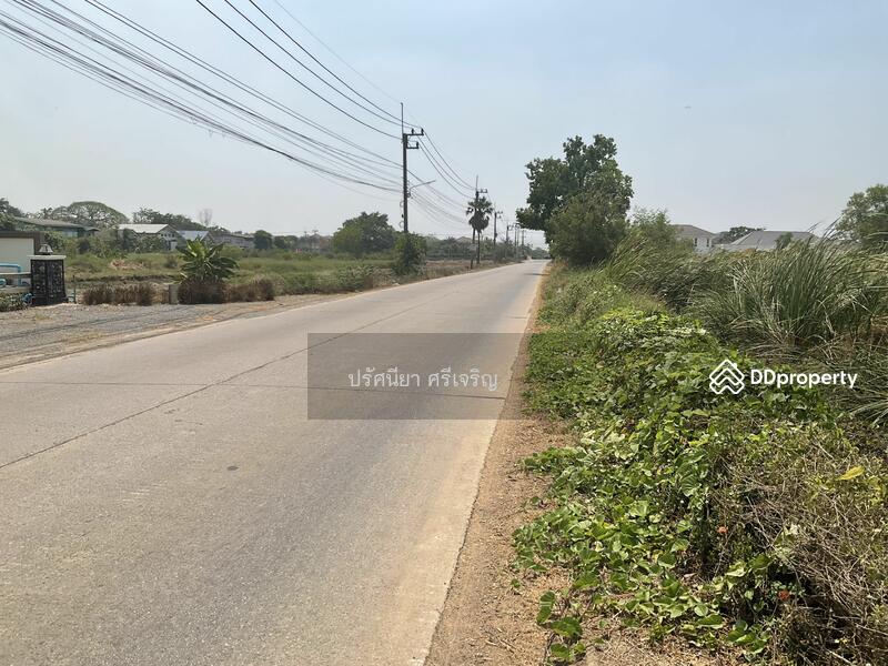 ขายที่ดินรังสิต องครักษ์ คลอง6 ใกล้ม.ราชมงคลธัญบุรี ห่าง 10 กิโล กว้าง 41ม.ลึก82.5ม.ขายวาละ 10,000บ., Pathum Thani, 100 รังสิตองครักษ์คลอง6, Rangsit, Thanyaburi, Pathum Thani, , 4,960 sqm, Land For Sale, by ปรัศนียา ศรีเจริญ, 11336889 - DDproperty.com