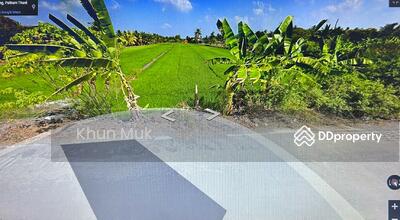 ขาย - คลองระแหง ตำบล ระแหง อำเภอลาดหลุมแก้ว ปทุมธานี 12140, ปทุมธานี