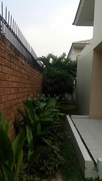 Supalai Suanluang, Bangkok, Chaloem Phrakiat Rama 9 Road, Prawet, Prawet, Bangkok, 4 Bedrooms, 230 sqm, Single Detached House For Rent, by Rattapon Sivamok, 11340697 - DDproperty.com