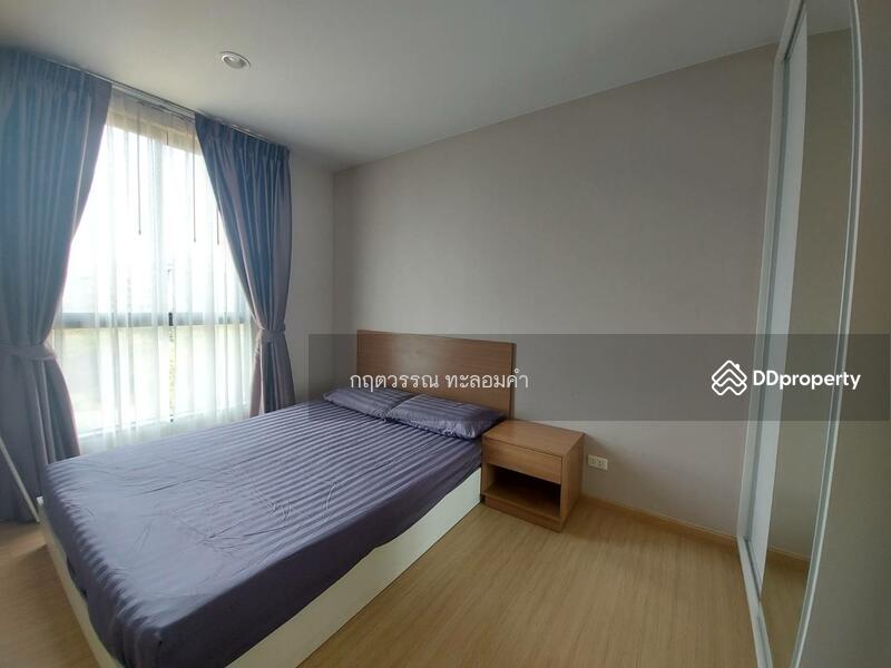 The Tree Onnut Station : เดอะทรี อ่อนนุช สเตชั่น, กรุงเทพ, 54 ถนนสุขุมวิท, บางจาก, พระโขนง, กรุงเทพ, 28 ตร.ม., คอนโด ให้เช่า, โดย กฤตวรรณ ทะลอมคำ, 11340900 - DDproperty.com