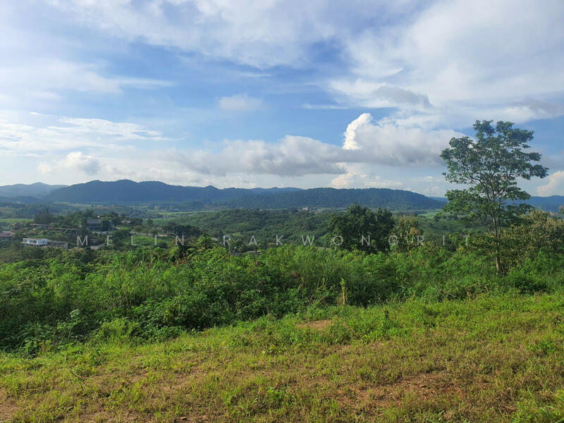 ขาย - 30130, นครราชสีมา