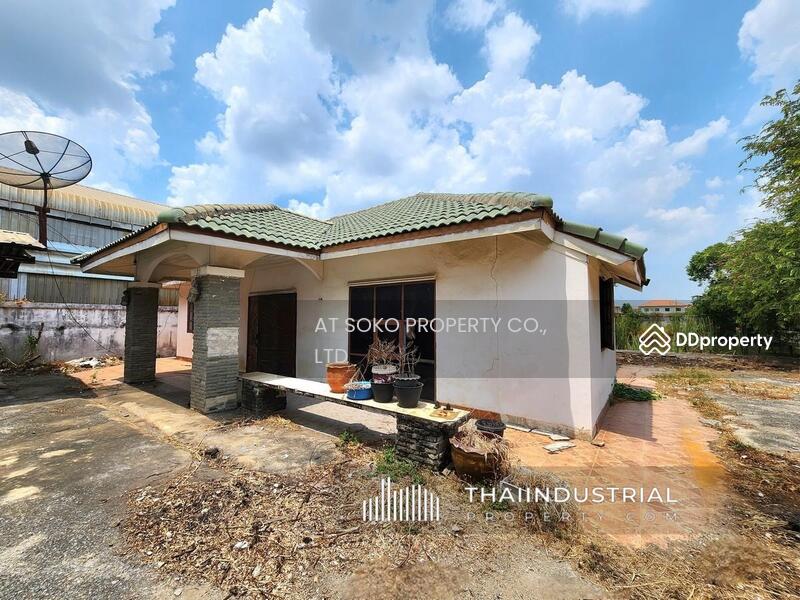 Factory or Warehouse 2000 sqm for RENT at Khlong Si, Khlong Luang, Pathum Thani (ID: AT1528R), Pathum Thani, Khlong Si, Khlong Luang, Pathum Thani, , 2,000 sqm, Warehouse/Factory For Rent, by AT SOKO PROPERTY CO., LTD, 11341712 - DDproperty.com