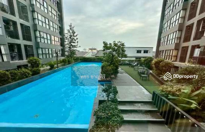 The Green 3 @ Sukhumvit 101 : เดอะ กรีน 3 แอท สุขุมวิท 101, กรุงเทพ, 8 ซอย ปุณณวิถี 21, บางจาก, พระโขนง, กรุงเทพ, 32 ตร.ม., คอนโด ให้เช่า, โดย พชร ชาญศิริ, 11342562 - DDproperty.com