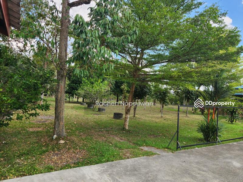 โรงงานน้ำดื่มนราธิวาส, Narathiwat, Su Ngai Kolok, Su Ngai Ko Lok, Narathiwat, , 9,600 sqm, Land For Sale, by Rachen Nopsuwan, 11343049 - DDproperty.com