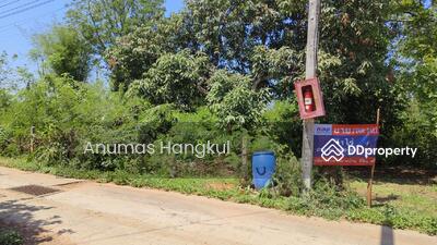 ขาย - ขายที่ดิน 400 ตรว. ห่างจากถนนมิตรภาพ 900 เมตร ถ.แผ่นดินธรรม อ.สีคิ้ว, นครราชสีมา