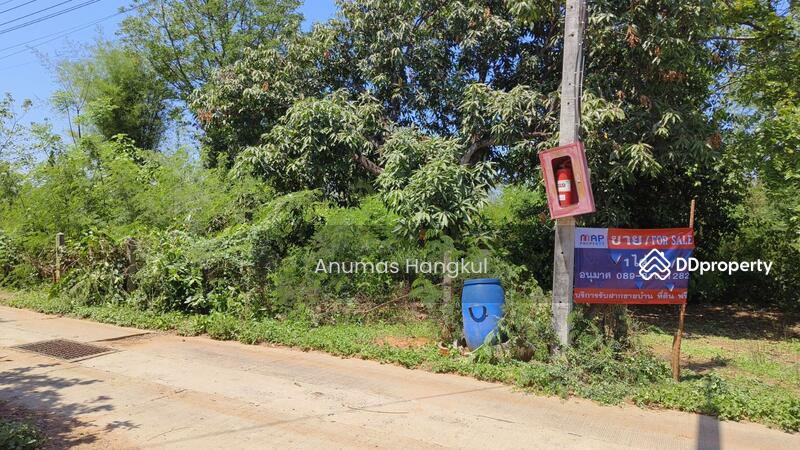 ขาย - ขายที่ดิน 400 ตรว. ห่างจากถนนมิตรภาพ 900 เมตร ถ.แผ่นดินธรรม อ.สีคิ้ว, นครราชสีมา