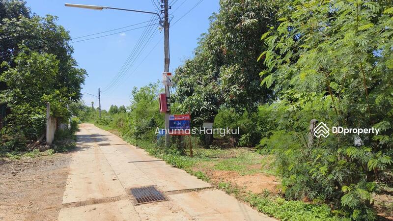 ขาย - ขายที่ดิน 400 ตรว. ห่างจากถนนมิตรภาพ 900 เมตร ถ.แผ่นดินธรรม อ.สีคิ้ว, นครราชสีมา