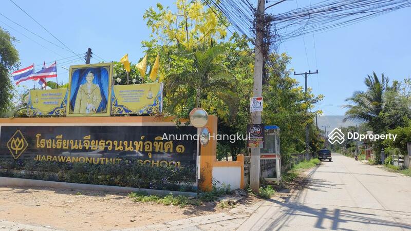 ขาย - ขายที่ดิน 400 ตรว. ห่างจากถนนมิตรภาพ 900 เมตร ถ.แผ่นดินธรรม อ.สีคิ้ว, นครราชสีมา