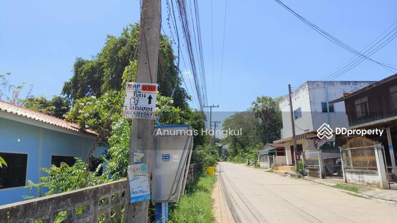 ขาย - ขายที่ดิน 400 ตรว. ห่างจากถนนมิตรภาพ 900 เมตร ถ.แผ่นดินธรรม อ.สีคิ้ว, นครราชสีมา