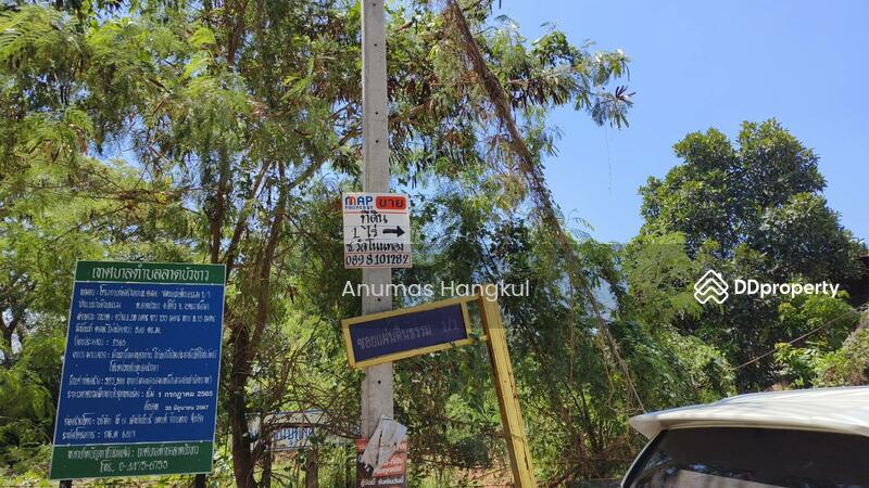 ขาย - ขายที่ดิน 400 ตรว. ห่างจากถนนมิตรภาพ 900 เมตร ถ.แผ่นดินธรรม อ.สีคิ้ว, นครราชสีมา