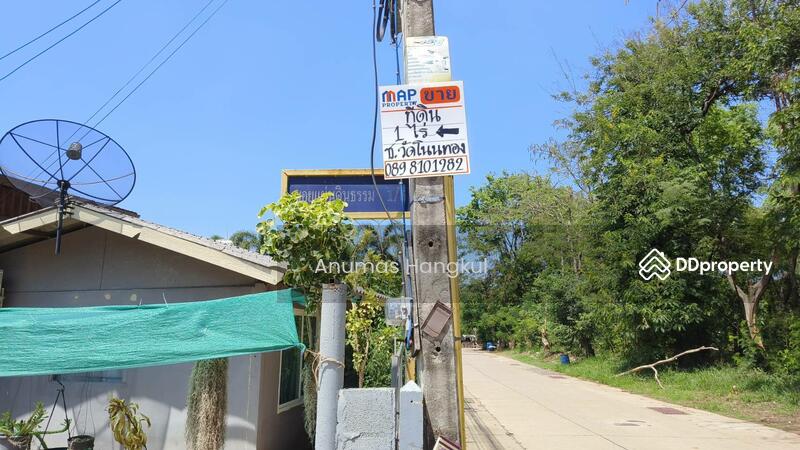 ขาย - ขายที่ดิน 400 ตรว. ห่างจากถนนมิตรภาพ 900 เมตร ถ.แผ่นดินธรรม อ.สีคิ้ว, นครราชสีมา