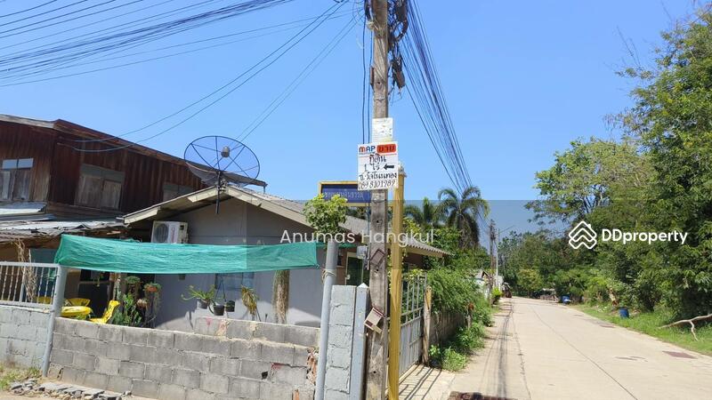 ขาย - ขายที่ดิน 400 ตรว. ห่างจากถนนมิตรภาพ 900 เมตร ถ.แผ่นดินธรรม อ.สีคิ้ว, นครราชสีมา