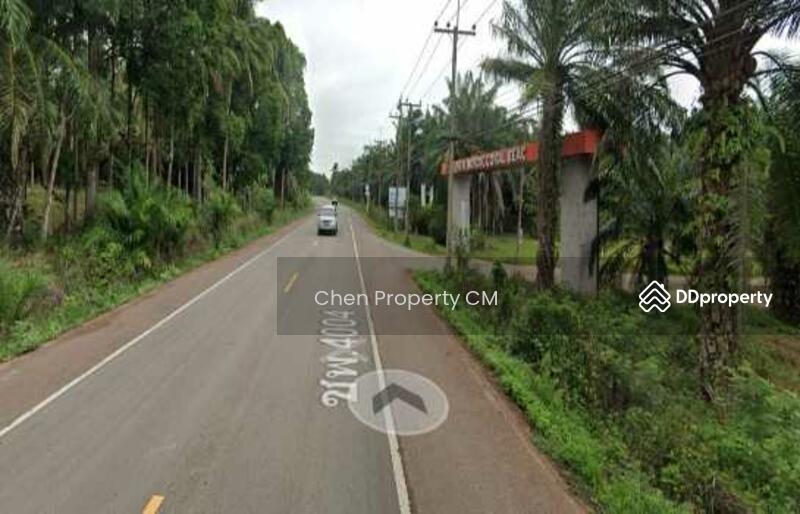 ขาย - ที่ดินใกล้ทะเลชุมพร, ชุมพร