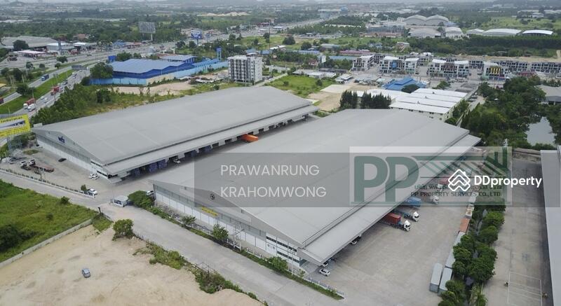 ให้เช่าโรงงาน/คลังสินค้า พื้นที่ขนาดตั้งเเต่ 6,450 -14,000 ตารางเมตร ( FREEE ZONE พื้นที่สีม่วง), Chon Buri (Pattaya), Nong - Kham, Si Racha, Chon Buri (Pattaya), , 47,500 sqm, Warehouse/Factory For Rent, by PRAWANRUNG KRAHOMWONG, 11345704 - DDproperty.com