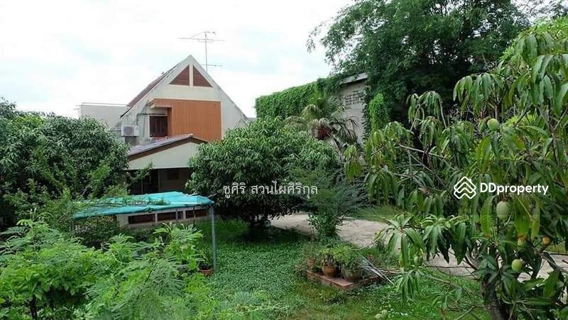 For Sale - land for sale, Phetchaburi