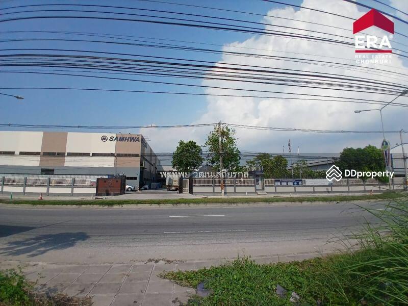 For Rent - ให้เช่าที่ดินเปล่าระยะยาว ถมแล้ว รูปสี่เหลี่ยมผืนผ้า ใกล้แยกมาบโป่ง พานทอง ชลบุรี HL#23485, Chon Buri