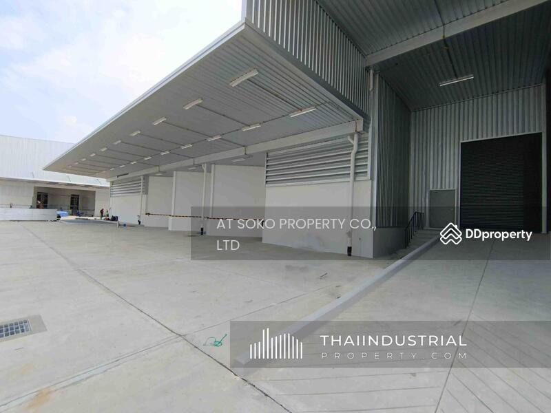 โกดังให้เช่า โรงงานให้เช่า 4011 ตรม พานทอง, พานทอง, ชลบุรี/ 泰国仓库/工厂,出租/出售 (หมายเลขประกาศ: AT1539R), ชลบุรี, พานทอง, ชลบุรี, 4,011 ตร.ม., โกดัง-โรงงาน ให้เช่า, โดย AT SOKO PROPERTY CO., LTD, 11347214 - DDproperty.com