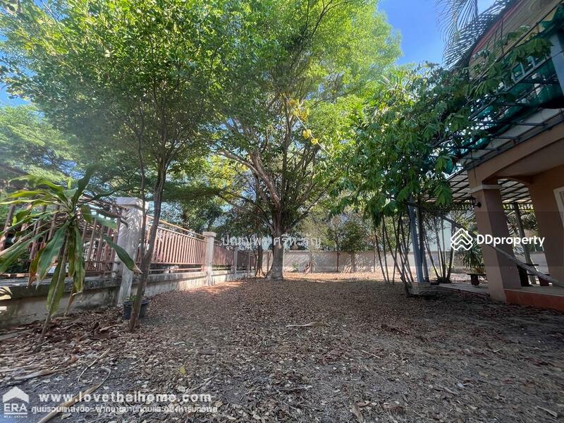 Charlotte's Place Lam Luk Ka Klong 7 : ชาร์ล็อตส์เพลส ลำลูกกา คลอง 7, ปทุมธานี, ลำลูกกา, ปทุมธานี, 11,444 ตร.ม., บ้านเดี่ยว ขาย, โดย ปุณญพร ศรีหะรัญ, 11347698 - DDproperty.com