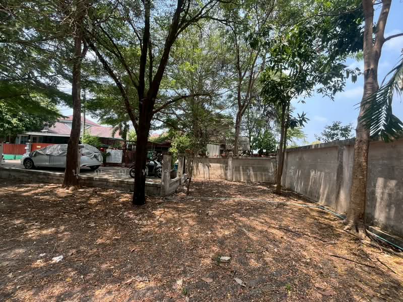 Charlotte's Place Lam Luk Ka Klong 7, Pathum Thani, Lam Luk Ka, Pathum Thani, 3 Bedrooms, 11,444 sqm, Single Detached House For Sale, by ปุณญพร ศรีหะรัญ, 11347698 - DDproperty.com