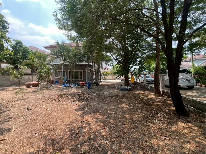 บ้านเดี่ยว หมู่บ้านชาร์ล็อตเพลส ถนนลำลูกกา ที่ดิน 2 แปลง ปลูกบ้าน 1 หลัง แปลงหัวมุม, Pathum Thani, 48/107 ลำลูกกา, Lam Luk Ka, Pathum Thani, 3 Bedrooms, 250 sqm, Single Detached House For Sale, by ปุณญพร ศรีหะรัญ, 11347698 - DDproperty.com