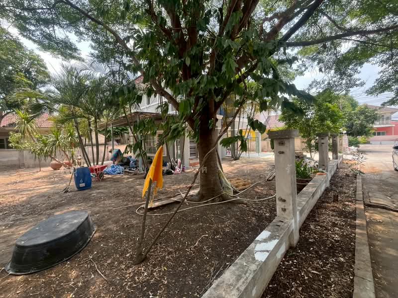 Charlotte's Place Lam Luk Ka Klong 7 : ชาร์ล็อตส์เพลส ลำลูกกา คลอง 7, ปทุมธานี, ลำลูกกา, ปทุมธานี, 11,444 ตร.ม., บ้านเดี่ยว ขาย, โดย ปุณญพร ศรีหะรัญ, 11347698 - DDproperty.com