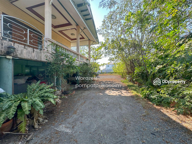 House for sale with 1 rai of land, Soi Wat Yai, Phra Samut Chedi, Samut Prakan, 172 สุขสวัสดิ์, Nai Khlong Bang Pla Kot, Phra Samut Jadee, Samut Prakan, 4 Bedrooms, 280 sqm, Single Detached House For Sale, by Worazett pornpatpulkasaim, 11348615 - DDproperty.com