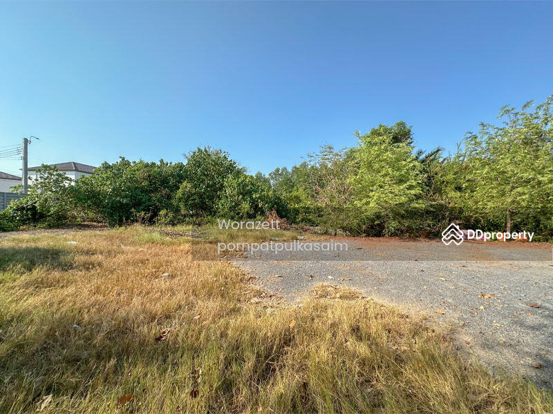 House for sale with 1 rai of land, Soi Wat Yai, Phra Samut Chedi, Samut Prakan, 172 สุขสวัสดิ์, Nai Khlong Bang Pla Kot, Phra Samut Jadee, Samut Prakan, 4 Bedrooms, 280 sqm, Single Detached House For Sale, by Worazett pornpatpulkasaim, 11348615 - DDproperty.com