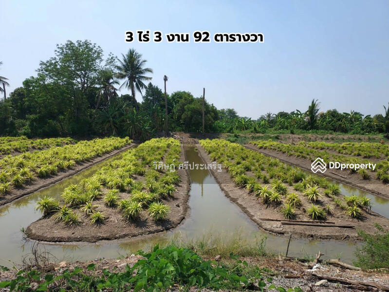 nonthaburi, -, Bang Yai, Nonthaburi, , 6,368 sqm, Land For Sale, by WISIT SRIPRASERT, 11349858 - DDproperty.com