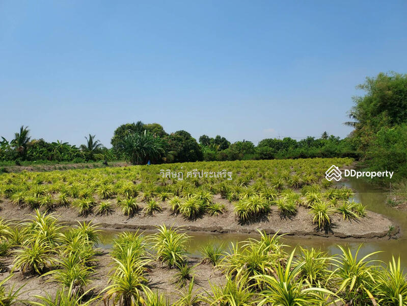 nonthaburi, -, Bang Yai, Nonthaburi, , 6,368 sqm, Land For Sale, by WISIT SRIPRASERT, 11349858 - DDproperty.com